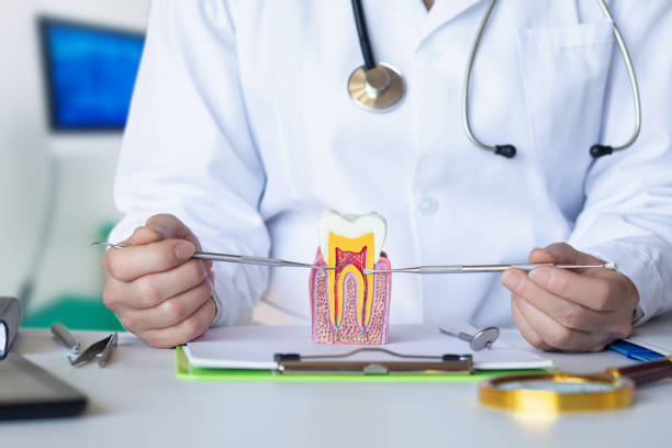 Best Orthodontic Emergency Dentist in Quail Creek, TX